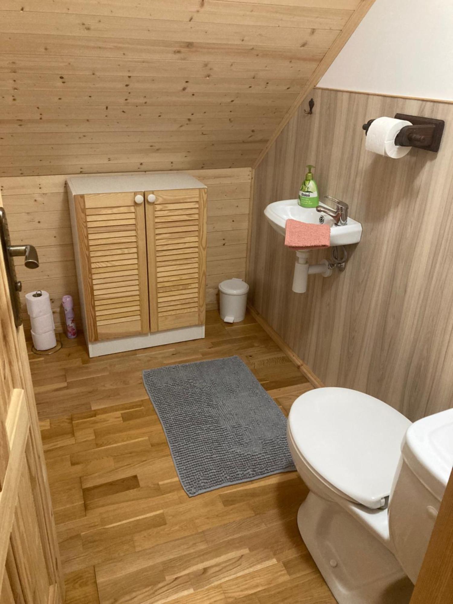 Nella Apartment Velke Karlovice